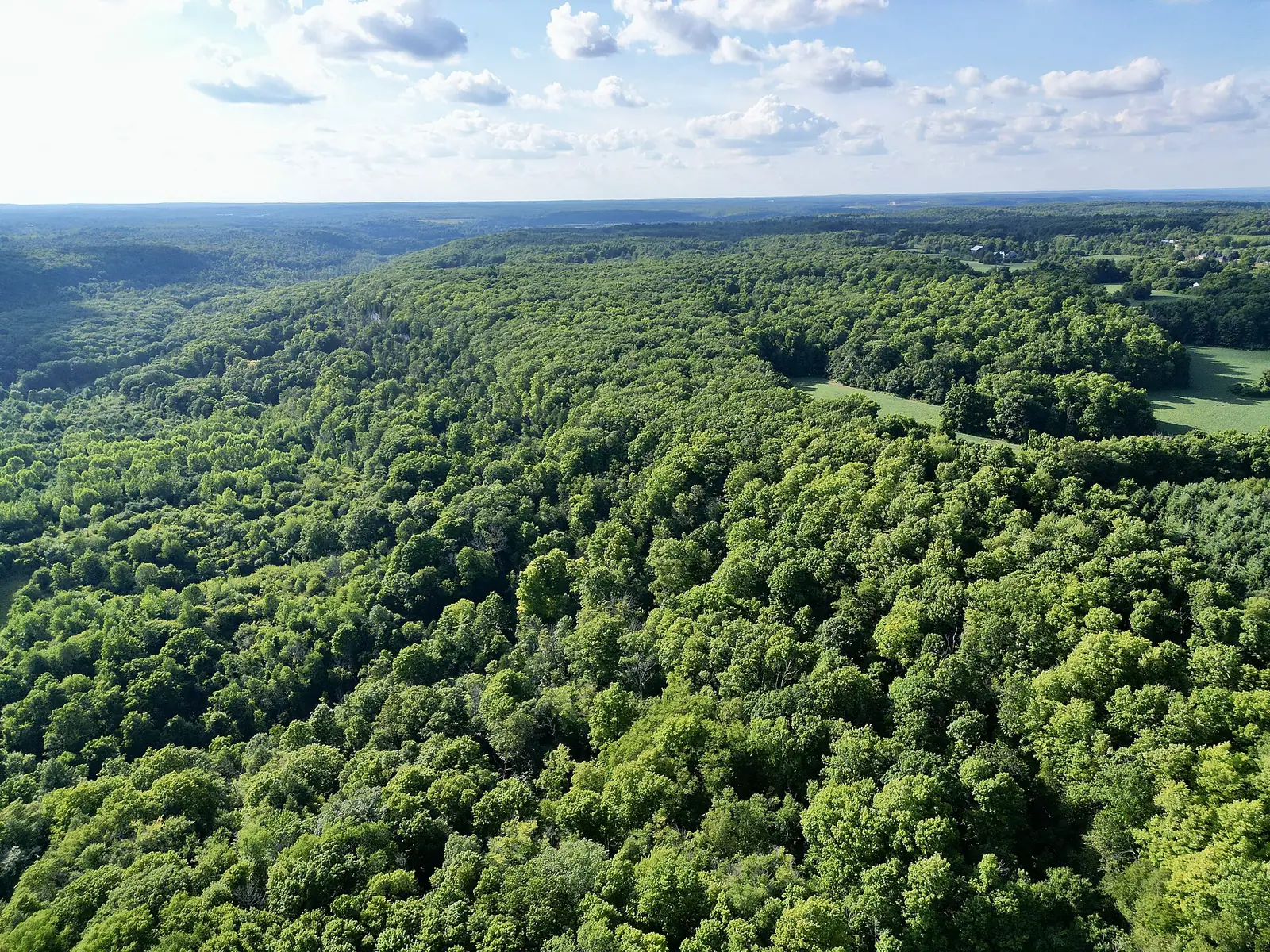 Niagara Escarpment forest seen from Rattlesnake Point in Milton