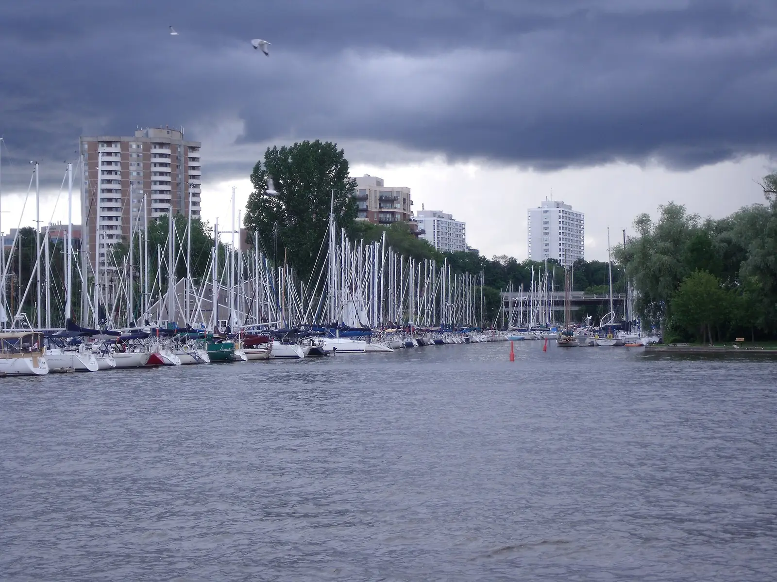 Sailboats moored at Oakville Harbour